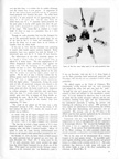 February 1946 Pg25