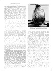 January 1946 Pg44