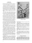 May 1946 Pg42