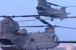 Two Chinooks